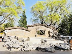 -团结湖公园