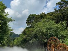 -广州白江湖森林公园