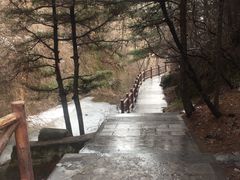 -王顺山国家森林公园