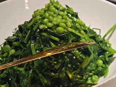 -甄御•海鲜新青岛菜(麦岛店)