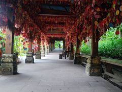 -野象谷景区