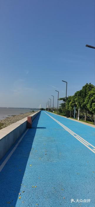滨海公园图片
