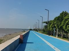 -滨海公园