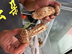 -云朵小院·石锅鱼·野生菌餐厅(蒗放店)