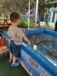 -萌宠亲子动物乐园(槐房万达店)