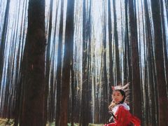 -山王坪喀斯特国家生态公园