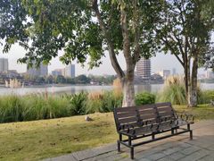 -眉山湿地公园(东坡区)