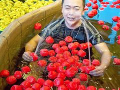 -渔岛海洋度假区