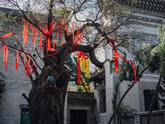 -西安关中民俗艺术博物院