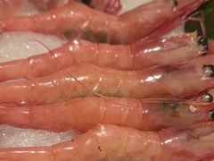 -德川家日本料理(顺义华联店)