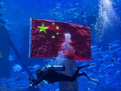 -哈尔滨波塞冬海底世界