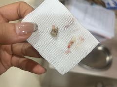 -米苏动物医院·犬猫专科·骨科外科内窥镜