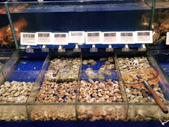 水产区-高佳庄·舟山海鲜(海景旗舰店)