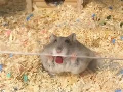 -至潮影城(庆春路锦和大厦店)
