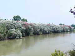 -苏州太湖国家湿地公园