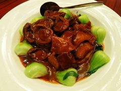 灵芝菇海参烩鲍-汕头龙光喜来登酒店-采悦轩中餐厅