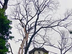 -石燕湖生态旅游景区