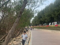 -宝安西湾红树林湿地公园