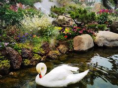 -罗红摄影艺术馆