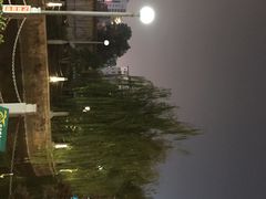 -孺子亭公园