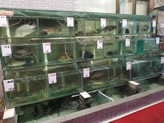 水产区-祈胜邨•顺德鱼生•顺德菜(容桂店)