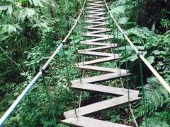 -清迈丛林飞跃 JungleFlight