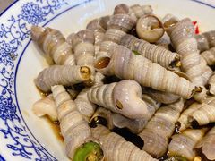 钉螺-荣家小吃(紫阳街店)