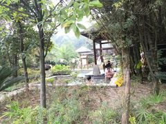 -咸宁万豪温泉谷度假区