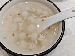 -丁老爷子苏香圆