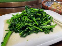 -梧桐庄园