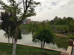 -雁滩公园