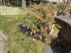 -狼山风景名胜区