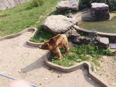 -无锡动物园·太湖欢乐园