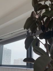 -HEYAN长风荷妍专业脱毛美肤
