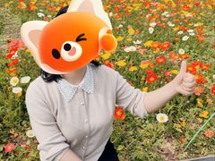-花博汇(知音花月夜)