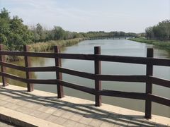 -西青郊野公园