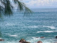 -广东惠东海龟国家级自然保护区