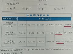 -爱诺耐芙动物医院(万博店)