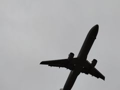 -空港花田景区