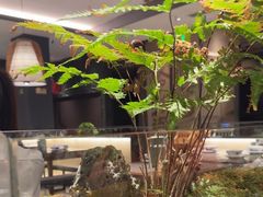 -山涧肴·湘味家肴(松岗满纷天地店)
