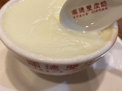 -正德顺順德雙皮奶(中信店)