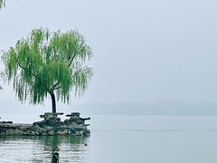 -颐和园