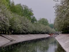-海棠花溪(元大都城垣遗址公园)