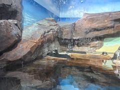 -海合安武汉极地海洋公园