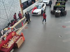 -上海华裕比亚迪4S店