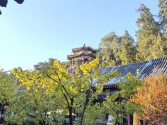 -宫事颐庭·老佛爷贵寿下午茶(颐和园店)