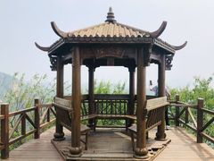 -大岭沟猕猴桃谷风景区