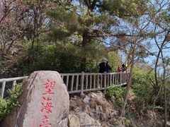 -棒棰岛宾馆景区