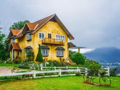 -黄色小屋