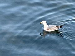 -大连老虎滩海洋公园